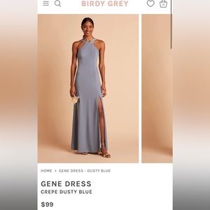 Birdy Grey Gene Dress in Dusty Blue